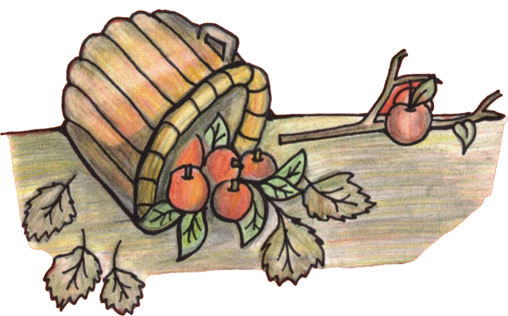 Fragment from Coloring Book